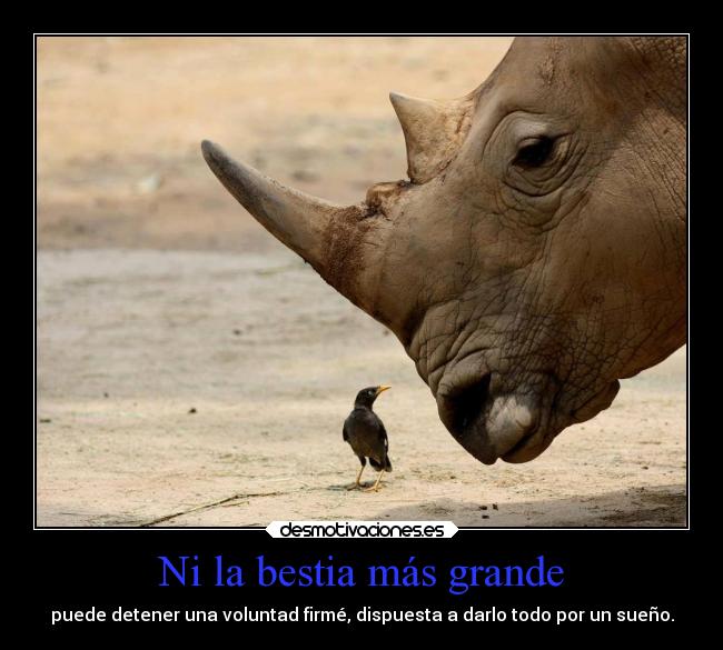 Ni la bestia más grande - puede detener una voluntad firmé, dispuesta a darlo todo por un sueño.