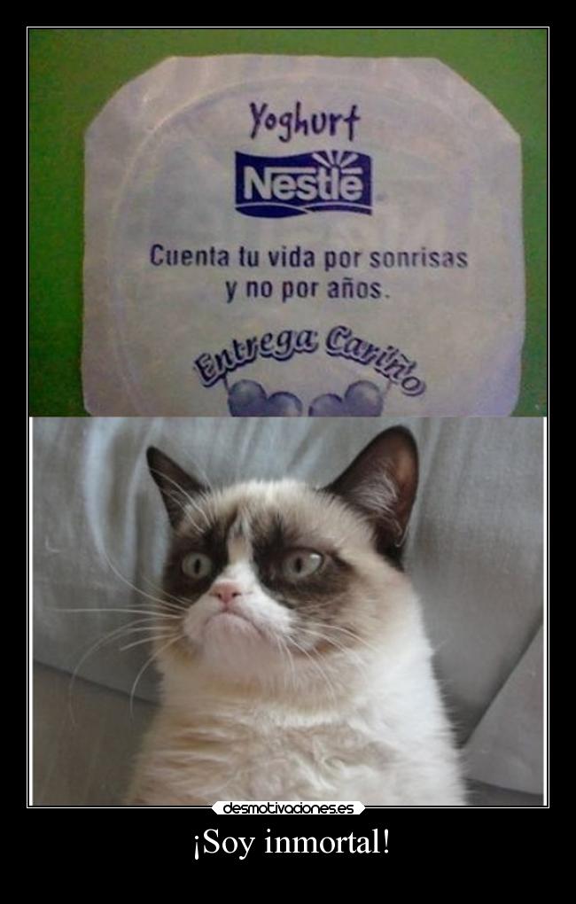 carteles gatosenojado meme humor jesshellscythe desmotivaciones