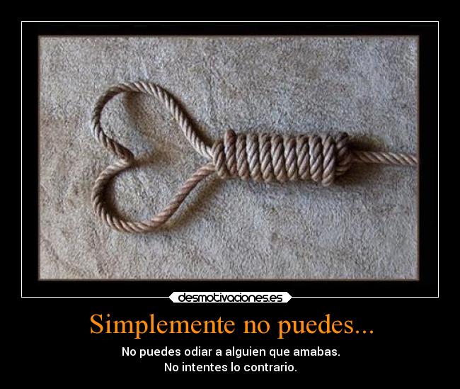 Simplemente no puedes... - 
