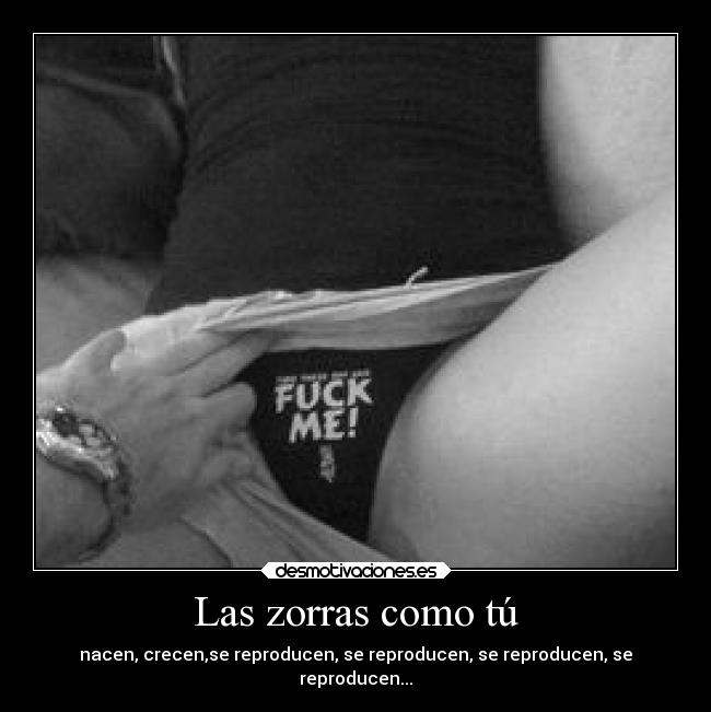 Las zorras como tú -