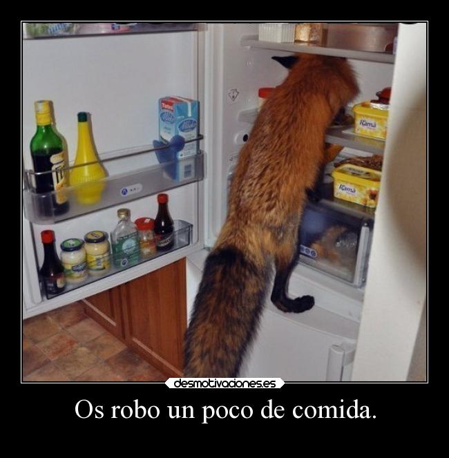 Os robo un poco de comida. -