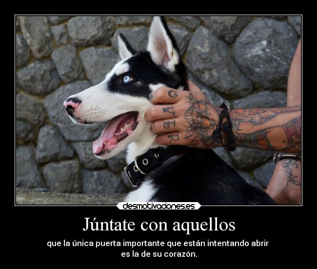 Júntate con aquellos - que la única puerta importante que están intentando abrir
es la de su corazón.