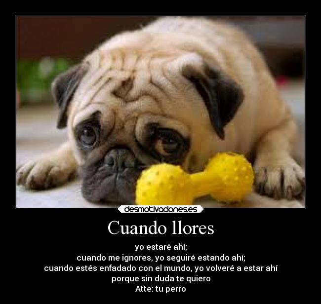 Cuando llores - yo estaré ahí;
cuando me ignores, yo seguiré estando ahí;
cuando estés enfadado con el mundo, yo volveré a estar ahí
porque sin duda te quiero
Atte: tu perro