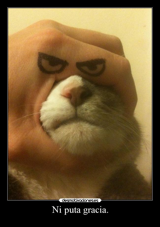 Ni puta gracia. -