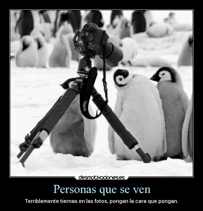 Personas que se ven - Terriblemente tiernas en las fotos, pongan la cara que pongan.