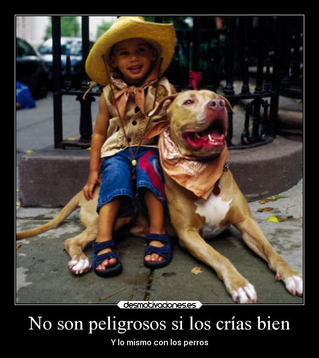 No son peligrosos si los crías bien - Y lo mismo con los perros