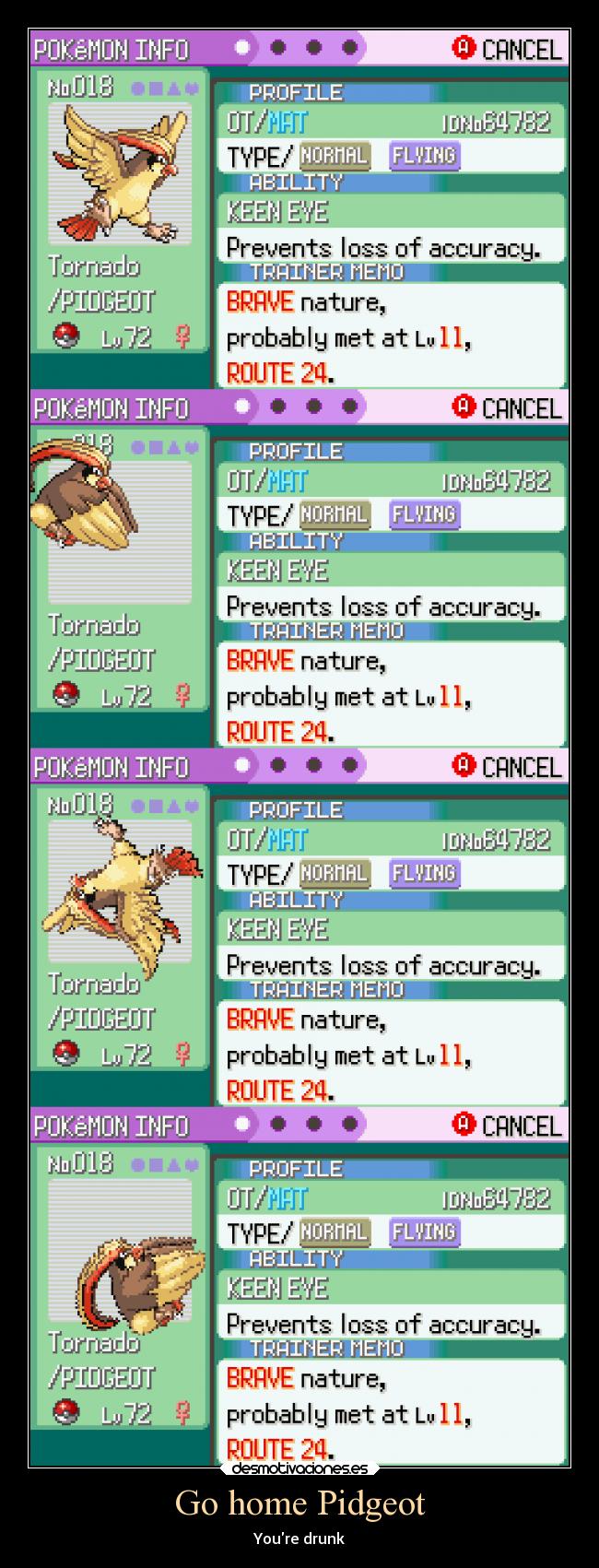 Go home Pidgeot - Youre drunk