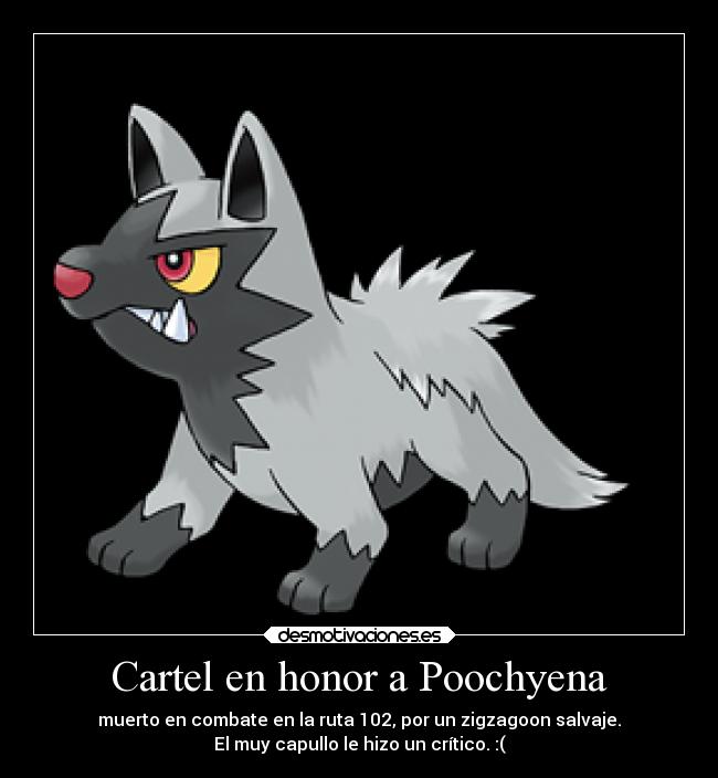 Cartel en honor a Poochyena - 