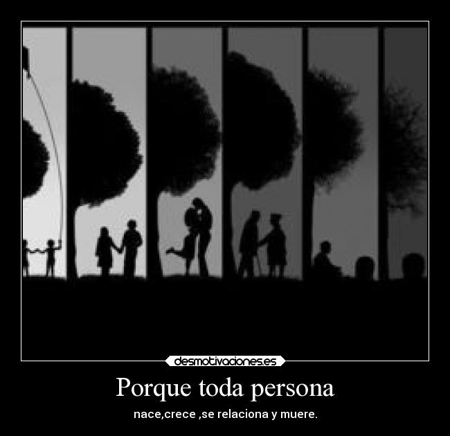 Porque toda persona -
