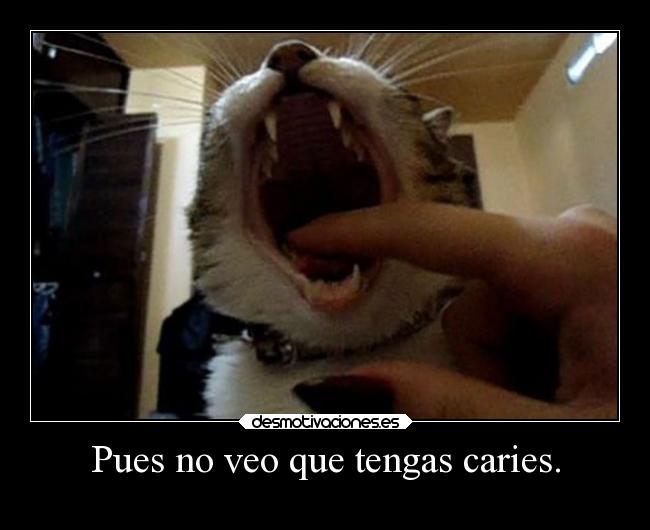 carteles gatoshook caries desmotivaciones