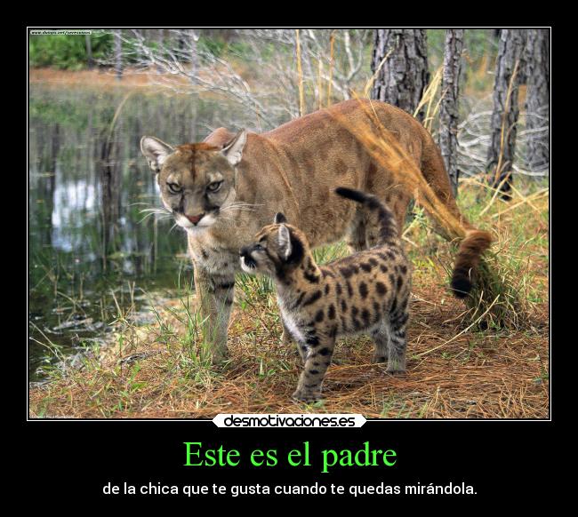 Este es el padre - de la chica que te gusta cuando te quedas mirándola.