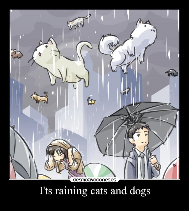Its raining cats and dogs - 