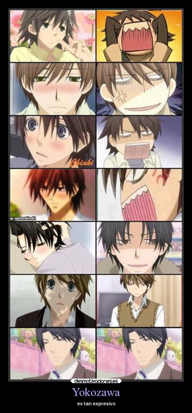 Yokozawa - es tan expresivo