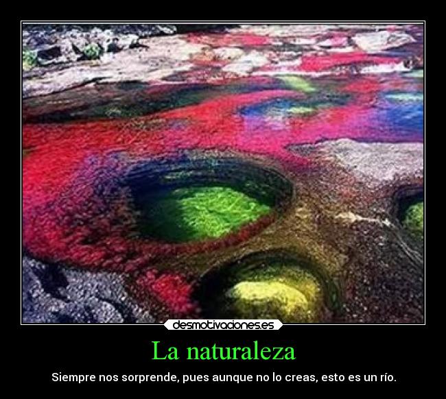 La naturaleza - Siempre nos sorprende, pues aunque no lo creas, esto es un río.