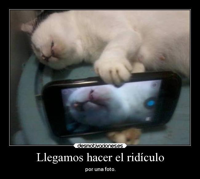 Llegamos hacer el ridículo -