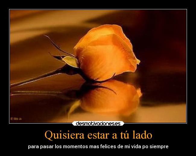 Quisiera estar a tú lado - para pasar los momentos mas felices de mi vida po siempre