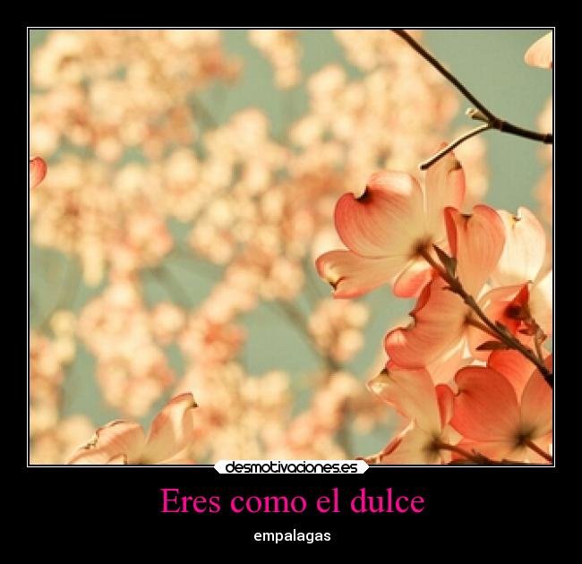 Eres como el dulce - empalagas