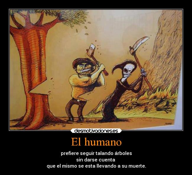 El humano - prefiere seguir talando árboles
sin darse cuenta
que el mismo se esta llevando a su muerte.