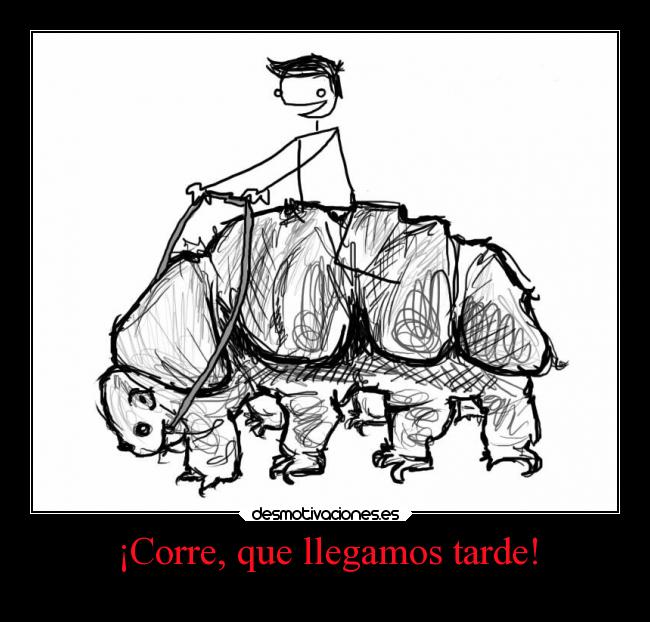 carteles oso agua desmotivaciones