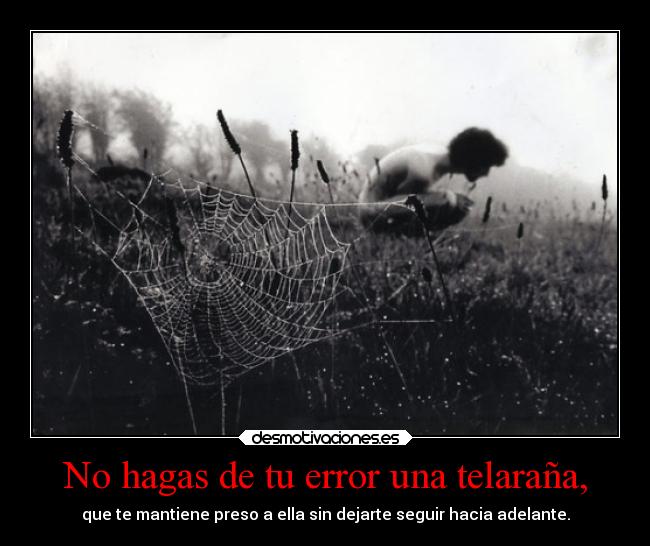 carteles carranxu probando principal best desmotivaciones