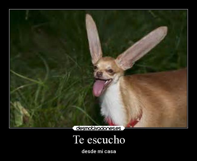 Te escucho - desde mi casa