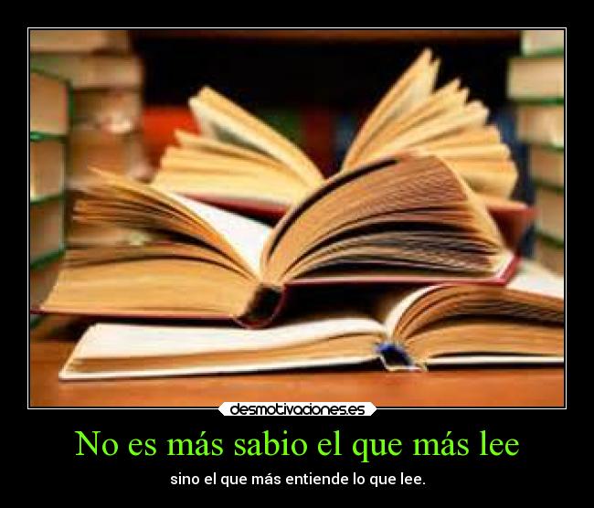 No es más sabio el que más lee - sino el que más entiende lo que lee.