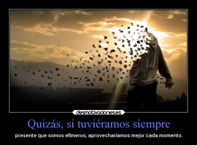 Quizás, si tuviéramos siempre - presente que somos efímeros, aprovecharíamos mejor cada momento.
