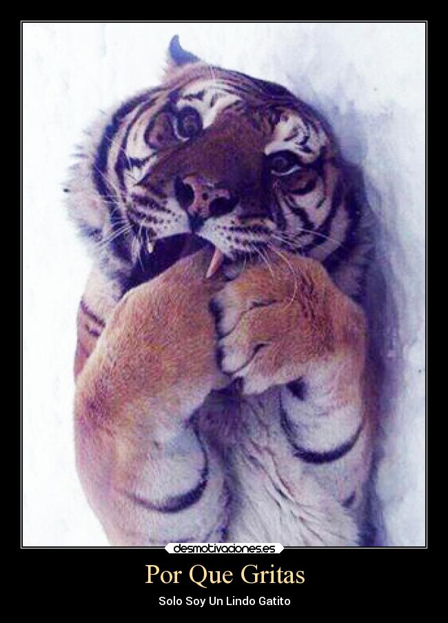 Por Que Gritas -