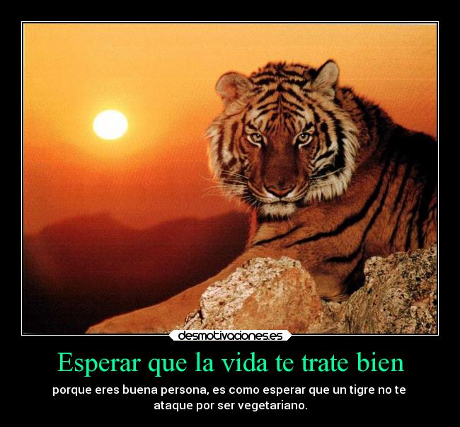 Esperar que la vida te trate bien - porque eres buena persona, es como esperar que un tigre no te 
ataque por ser vegetariano.