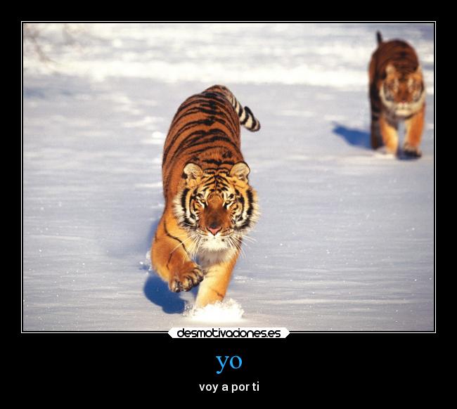 carteles desmotivaciones desmotivaciones