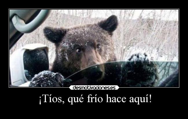 ¡Tíos, qué frío hace aquí! -