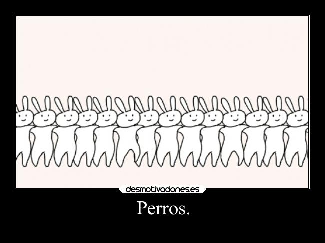 Perros. -