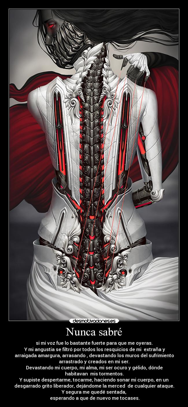 Nunca sabré -