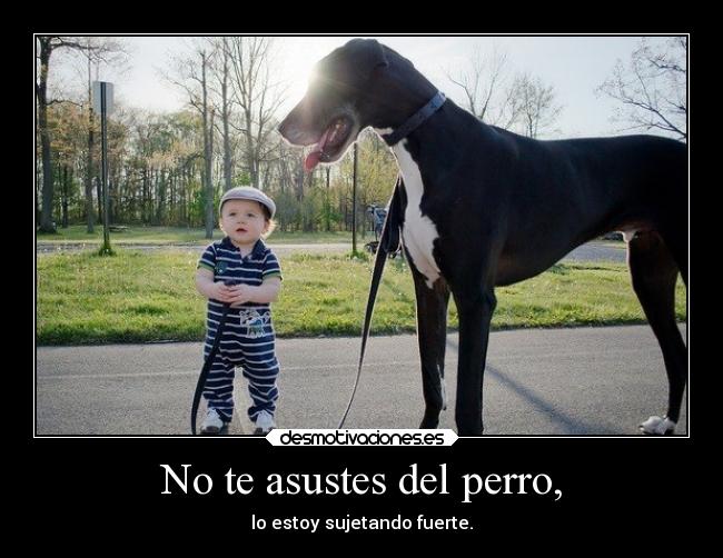 No te asustes del perro, - 
