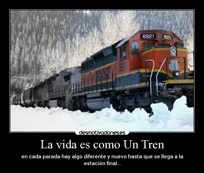 carteles vida vida desmotivaciones