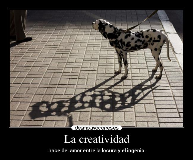 La creatividad - nace del amor entre la locura y el ingenio.