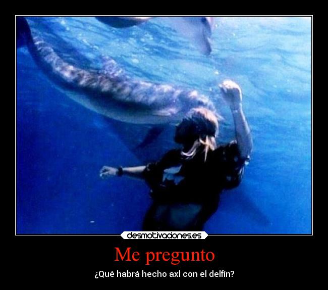 Me pregunto - ¿Qué habrá hecho axl con el delfín?