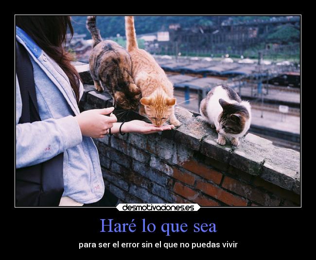 carteles 3dg clanloup there desmotivaciones