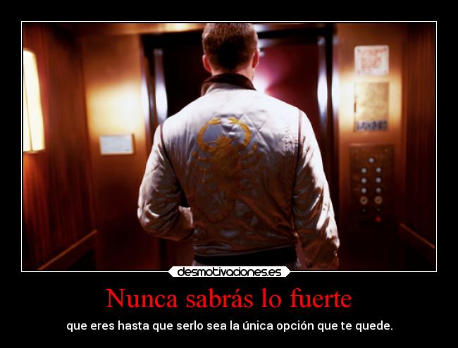 Nunca sabrás lo fuerte - 