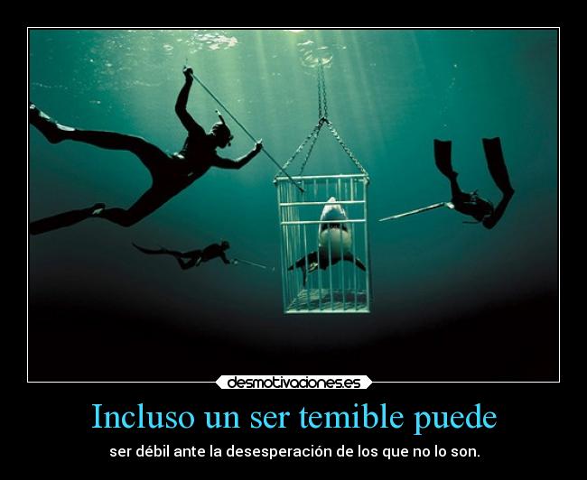 Incluso un ser temible puede - ser débil ante la desesperación de los que no lo son.