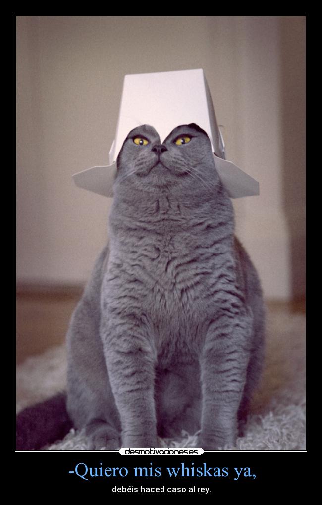 -Quiero mis whiskas ya, -
