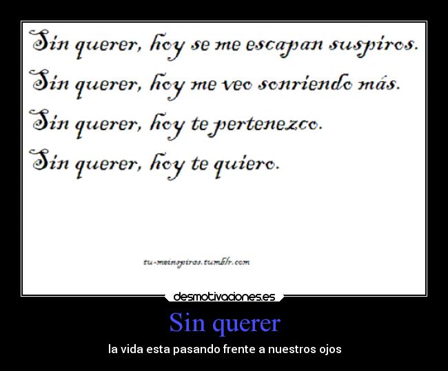 Sin querer -
