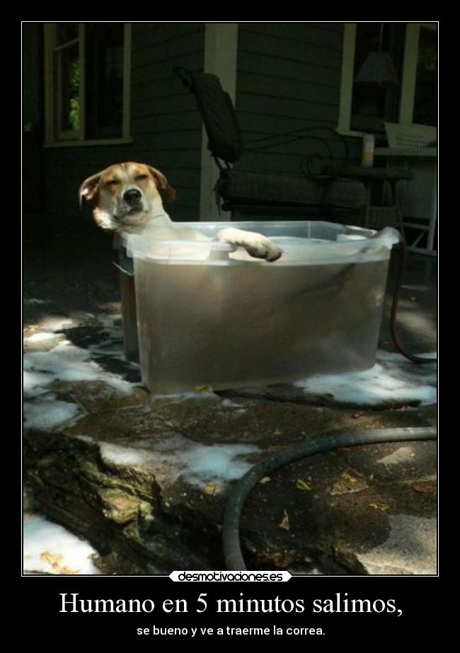 Humano en 5 minutos salimos, - 