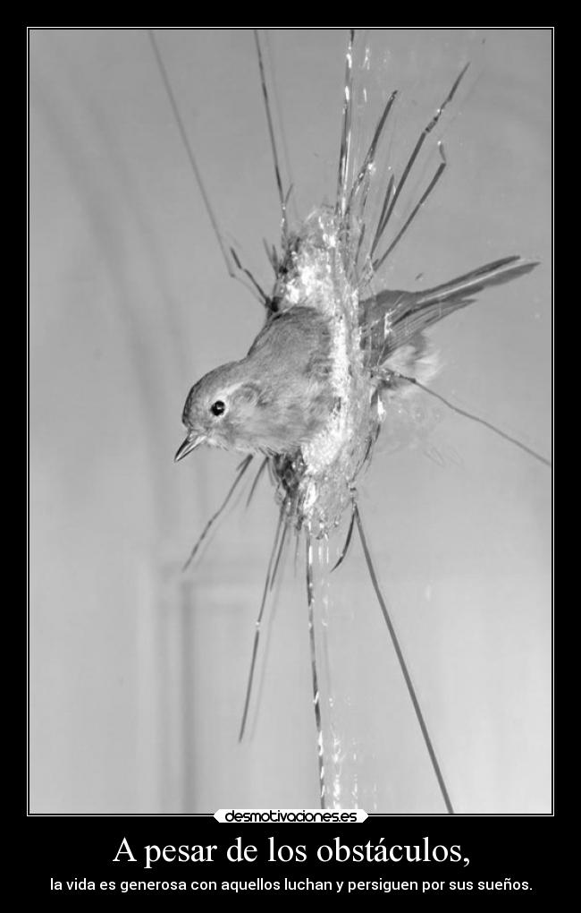 A pesar de los obstáculos, - 