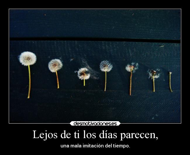 carteles flower lejos dias parecer mala imitacion tiempo time desmotivaciones