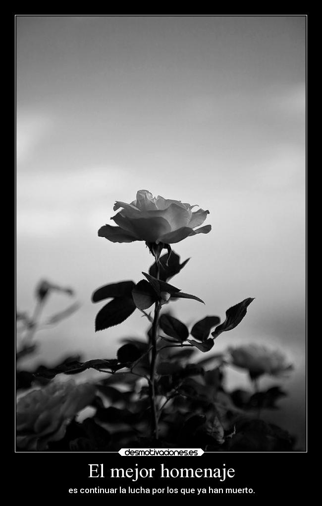 carteles vida coraje voluntad suenos propositos luchar vivir sufrir tristeza anhelos recuerdos desmotivaciones