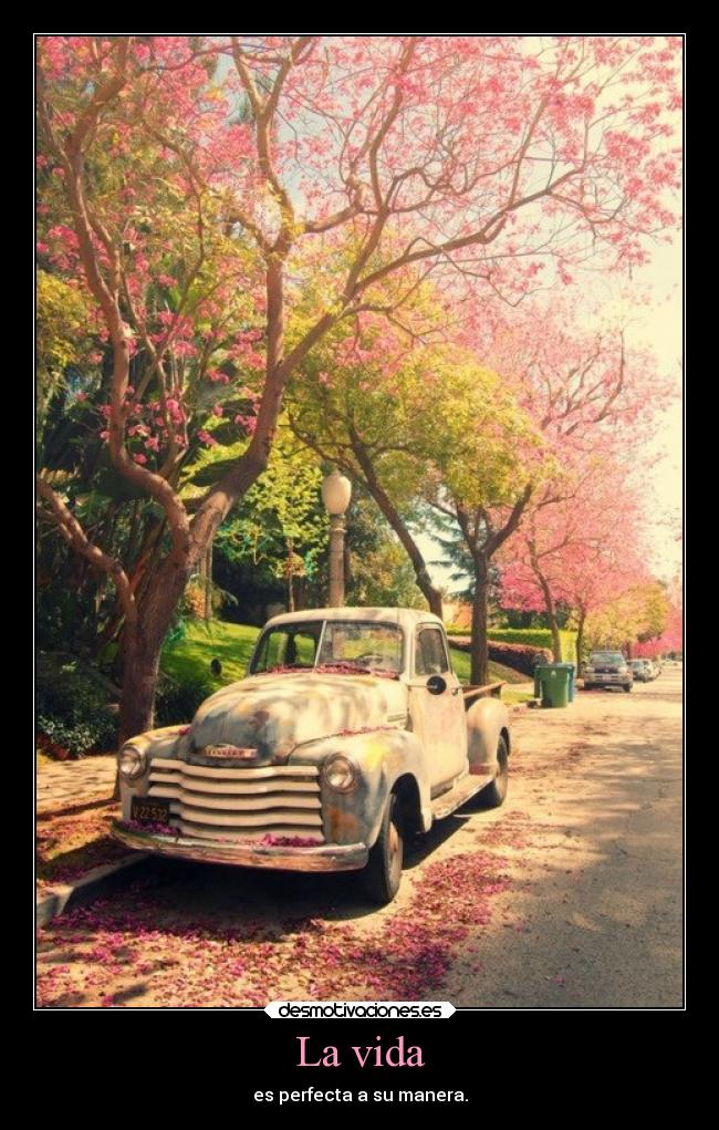 carteles vida vida perfecta desmotivaciones