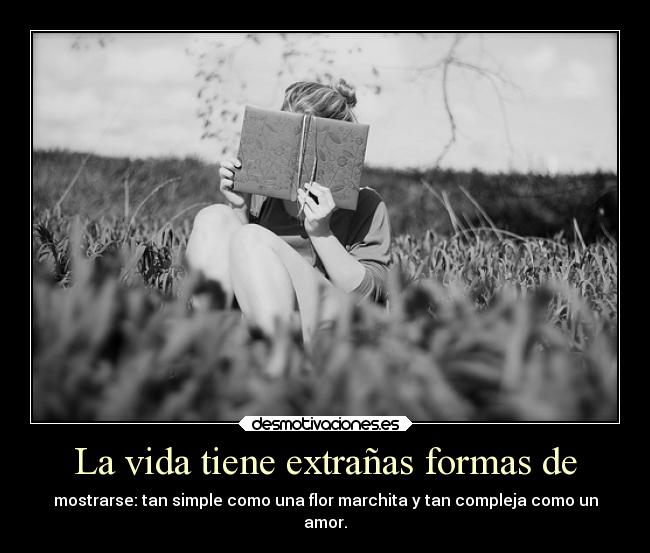 La vida tiene extrañas formas de - 
