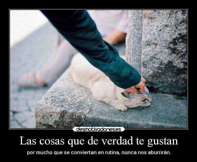 Las cosas que de verdad te gustan - por mucho que se conviertan en rutina, nunca nos aburrirán.