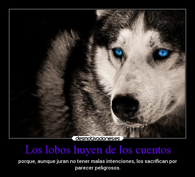 Los lobos huyen de los cuentos -